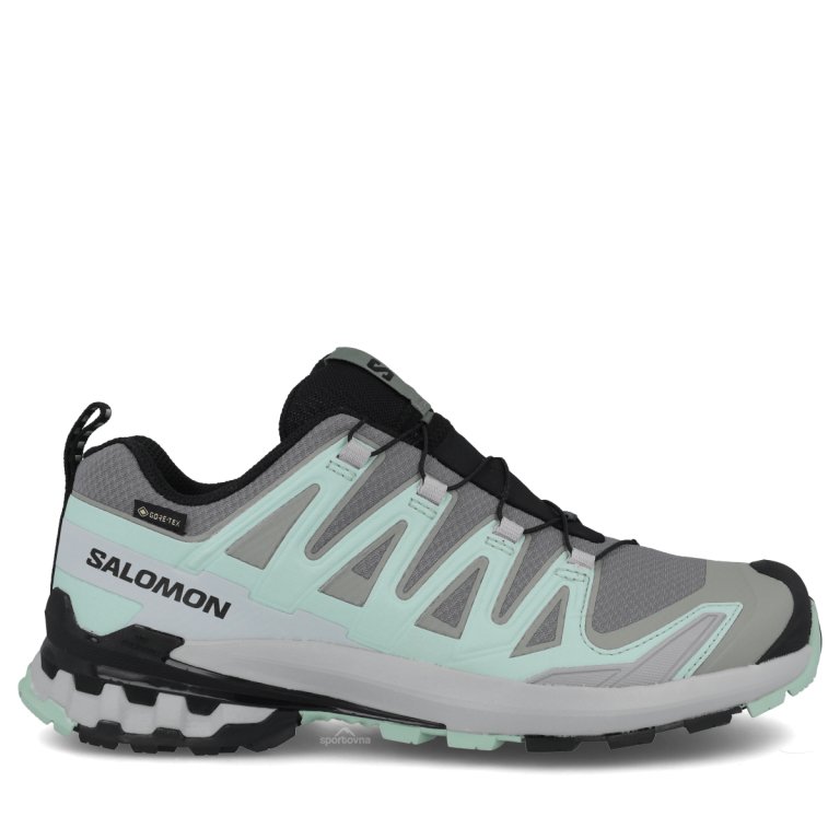 Obuv Salomon Xa Pro 3D V9 GTX W - černá/šedá/zelená