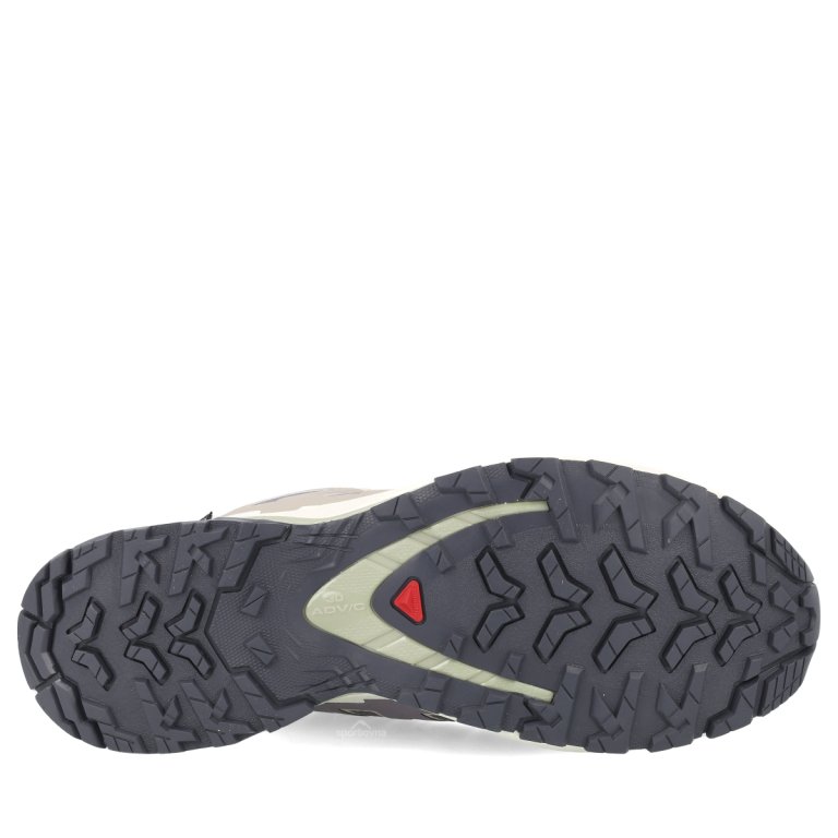 Obuv Salomon Xa Pro 3D V9 GTX W - fialová