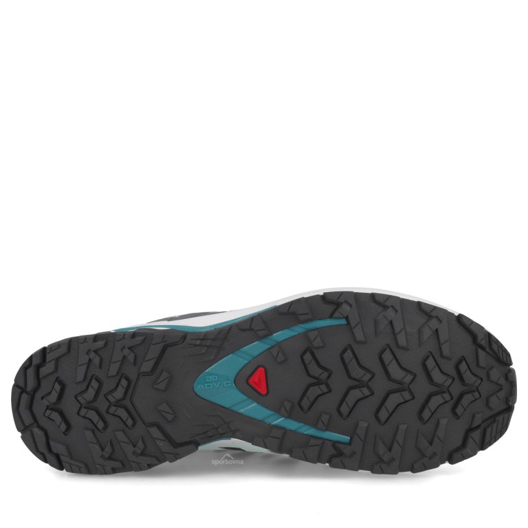 Obuv Salomon Xa Pro 3D V9 GTX W - černá/modrá