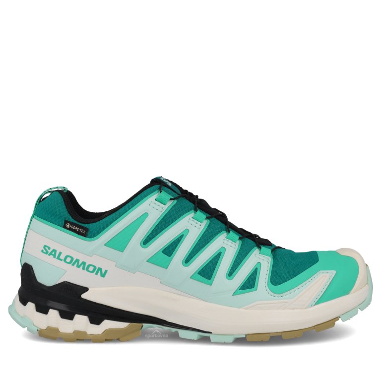 Obuv Salomon XA PRO 3D V9 GTX W - modrá