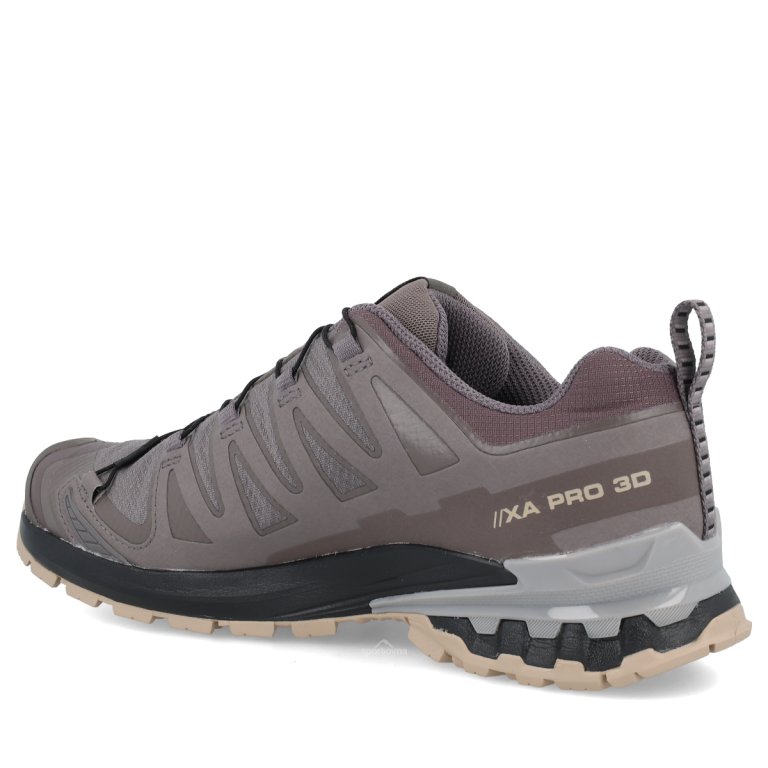 Obuv Salomon Xa Pro 3D V9 GTX W - hnědá/černá