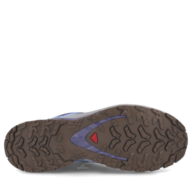 Obuv Salomon Xa Pro 3D V9 Gtx W - modrá