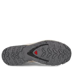 Obuv Salomon Xa Pro 3D V9 GTX W - béžová