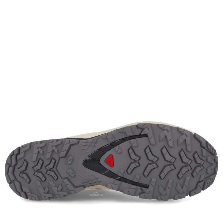 Obuv Salomon Xa Pro 3D V9 GTX W - béžová