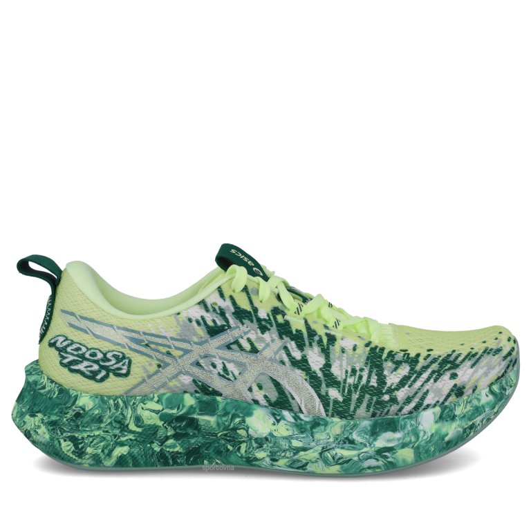 Кросівки Asics Noosa Tri 16 M — зелені