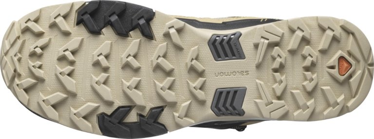 Взуття Salomon X Ultra 4 Mid GTX M - коричневі/чорні