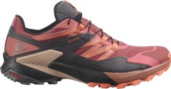 Взуття Salomon WINGS SKY GTX W - оранжевий/чорний