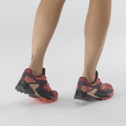 Взуття Salomon WINGS SKY GTX W - оранжевий/чорний