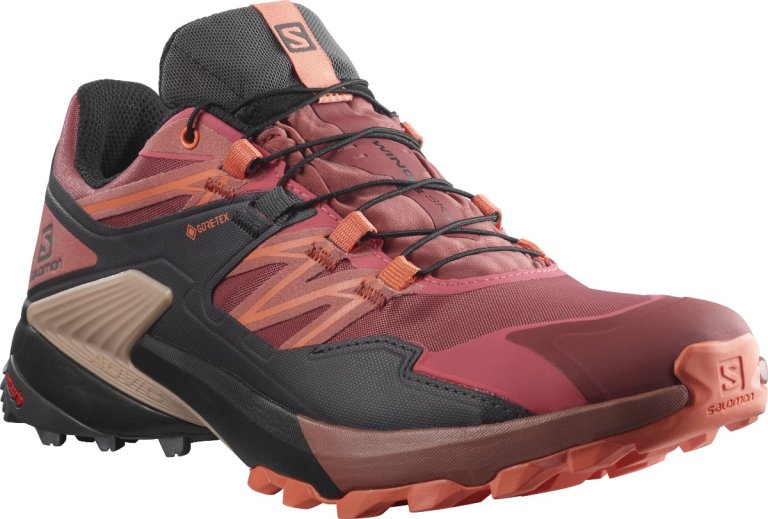 Взуття Salomon WINGS SKY GTX W - оранжевий/чорний
