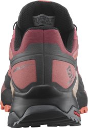 Взуття Salomon WINGS SKY GTX W - оранжевий/чорний