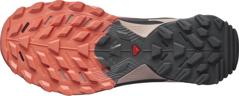Взуття Salomon WINGS SKY GTX W - оранжевий/чорний