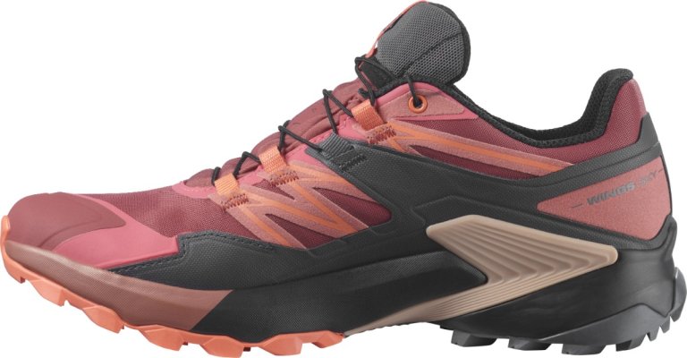 Взуття Salomon WINGS SKY GTX W - оранжевий/чорний
