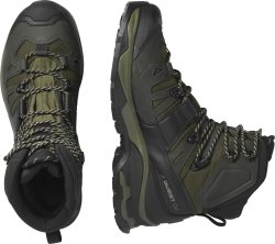 Взуття Salomon QUEST 4 GTX M - хакі/чорне