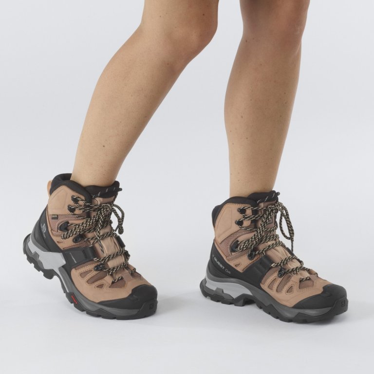 Взуття Salomon QUEST 4 GTX W - коричневий