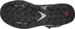 Взуття Salomon QUEST 4 GTX W - коричневий