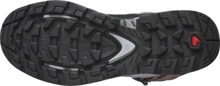 Взуття Salomon QUEST 4 GTX W - коричневий