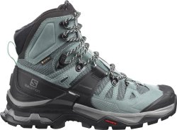Взуття Salomon QUEST 4 GTX W - синій