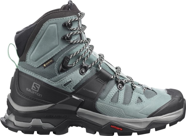 Взуття Salomon QUEST 4 GTX W - синій