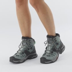 Взуття Salomon QUEST 4 GTX W - синій