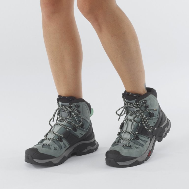 Взуття Salomon QUEST 4 GTX W - синій
