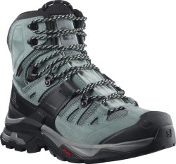 Взуття Salomon QUEST 4 GTX W - синій