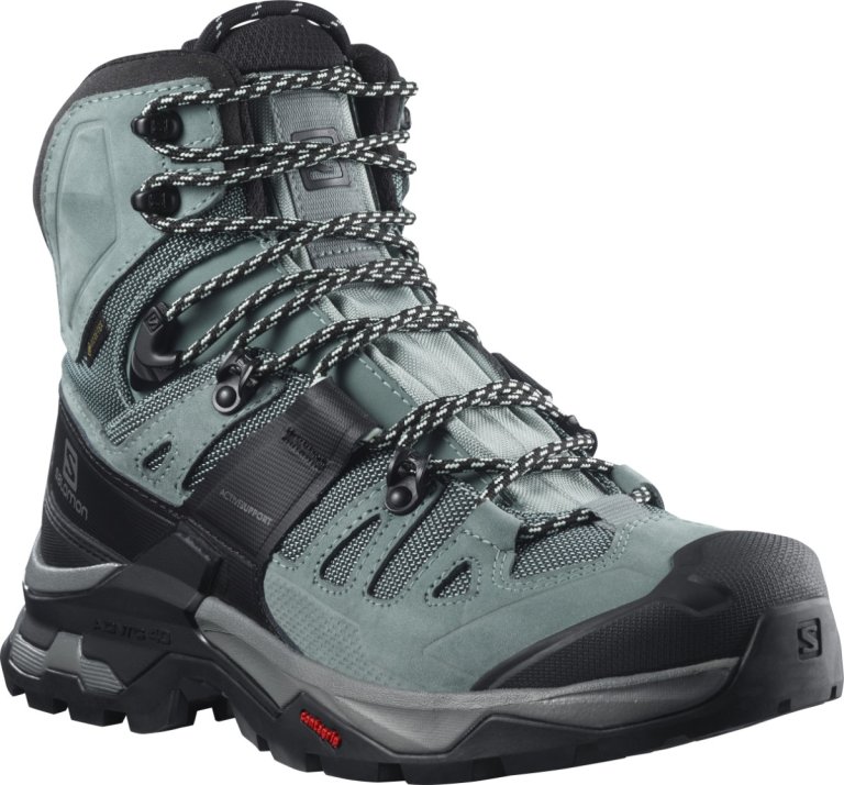 Взуття Salomon QUEST 4 GTX W - синій