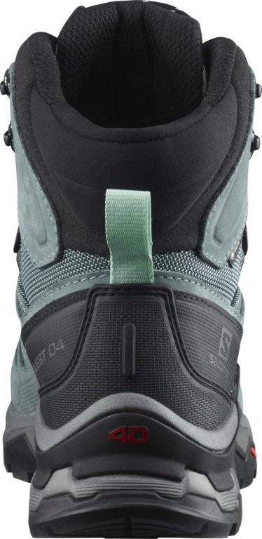 Взуття Salomon QUEST 4 GTX W - синій