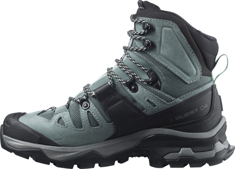 Взуття Salomon QUEST 4 GTX W - синій