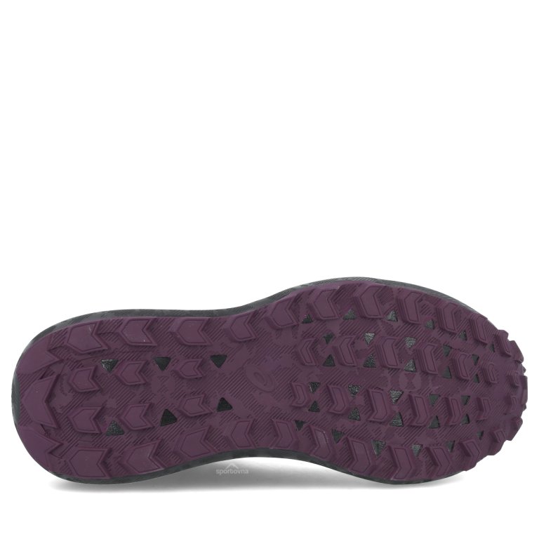 Topánky Asics Gel-Sonoma 8 Gtx W – čierna/sivá