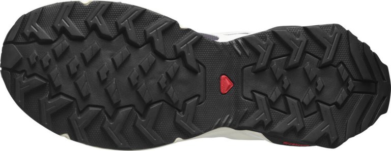 Взуття Salomon X RAISE W - чорний/білий/бежевий