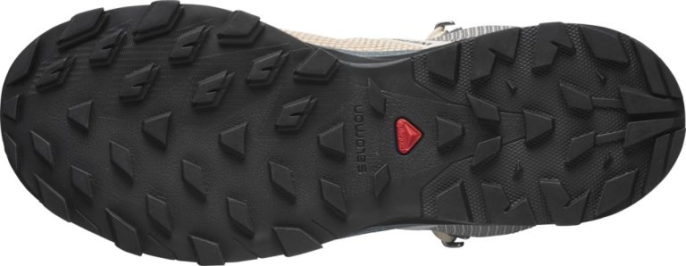 Взуття Salomon OUTLINE PRISM MID GTX W - коричневий / сірий