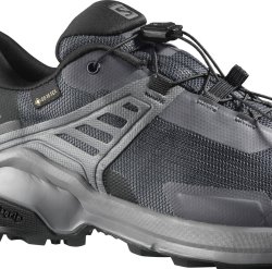 Взуття Salomon X RAISE GTX W - сірий/чорний