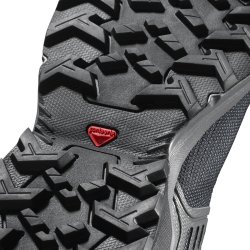 Взуття Salomon X RAISE GTX W - сірий/чорний