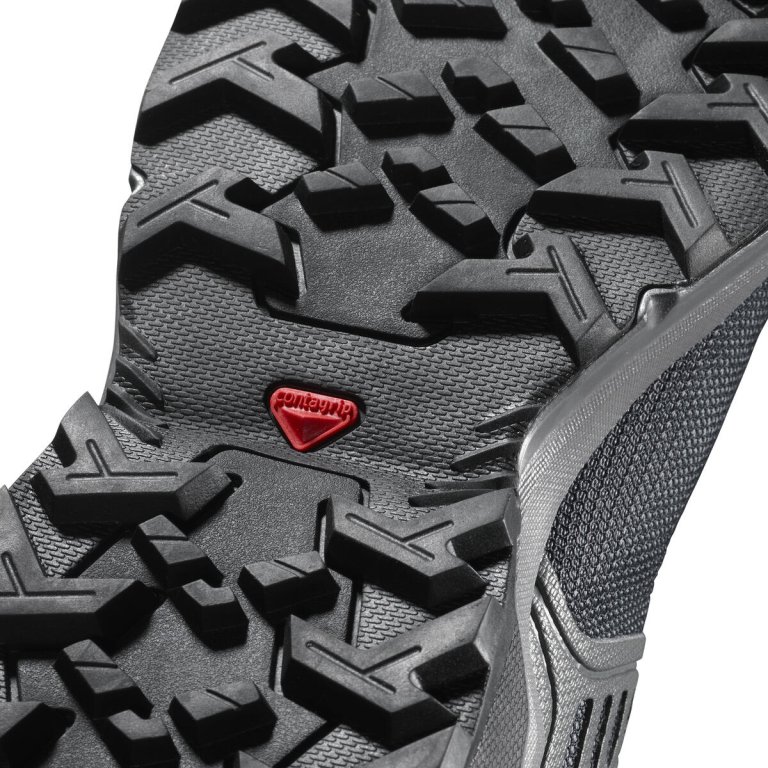Взуття Salomon X RAISE GTX W - сірий/чорний
