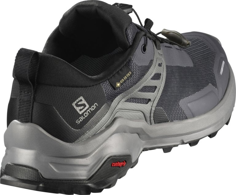 Взуття Salomon X RAISE GTX W - сірий/чорний