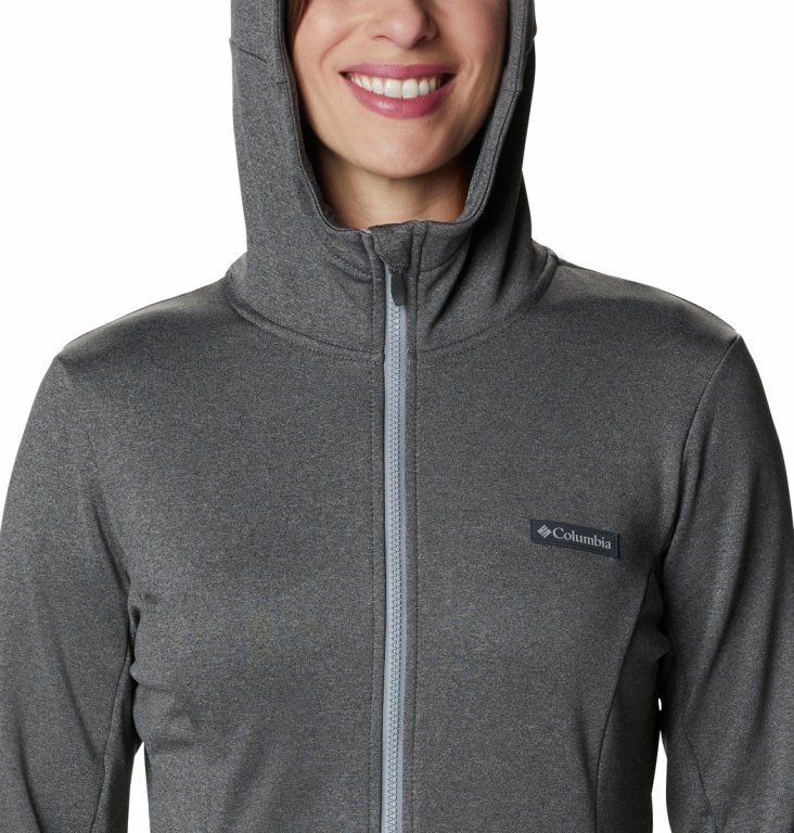 Толстовка Columbia Windgates™ Tech Fleece FZ W - сірий