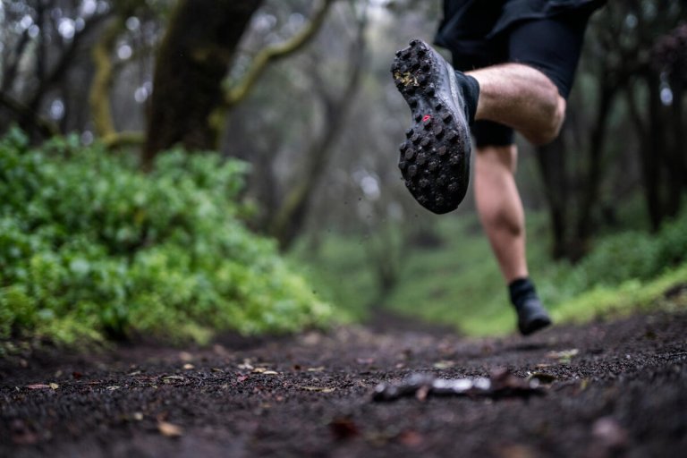 Кросівки Salomon S/LAB CROSS 2 - чорний