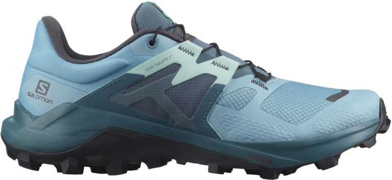 Obuv Salomon Wildcross 2 W - modrá