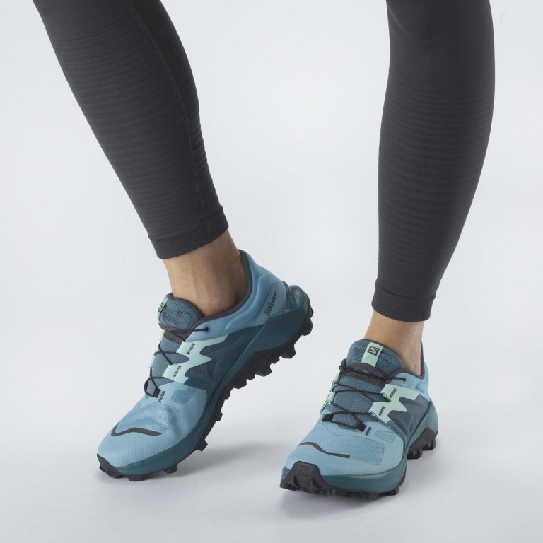 Obuv Salomon Wildcross 2 W - modrá