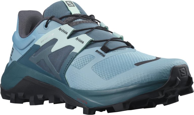 Obuv Salomon Wildcross 2 W - modrá