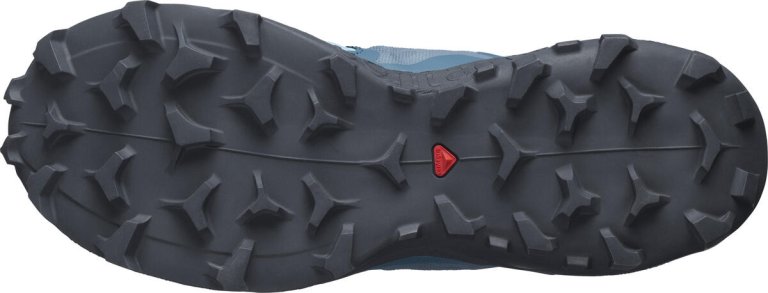 Obuv Salomon Wildcross 2 W - modrá