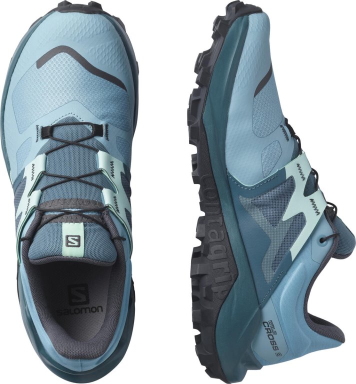 Obuv Salomon Wildcross 2 W - modrá