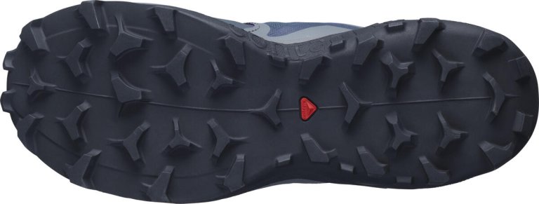 Взуття Salomon WILDCROSS 2 W - темно-синій