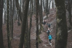 Взуття Salomon WILDCROSS 2 W - темно-синій