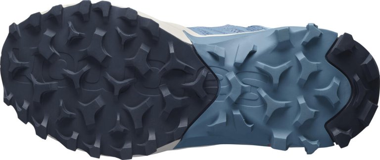 Obuv Salomon MADCROSS GTX W - modrá