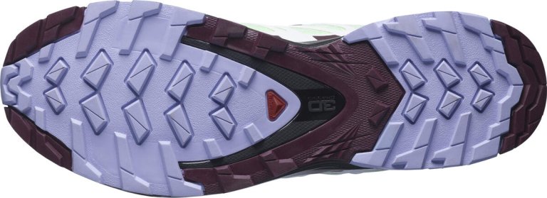 КросівкиSalomon Xa Pro 3D v8 GTX W - зелений/фіолетовий