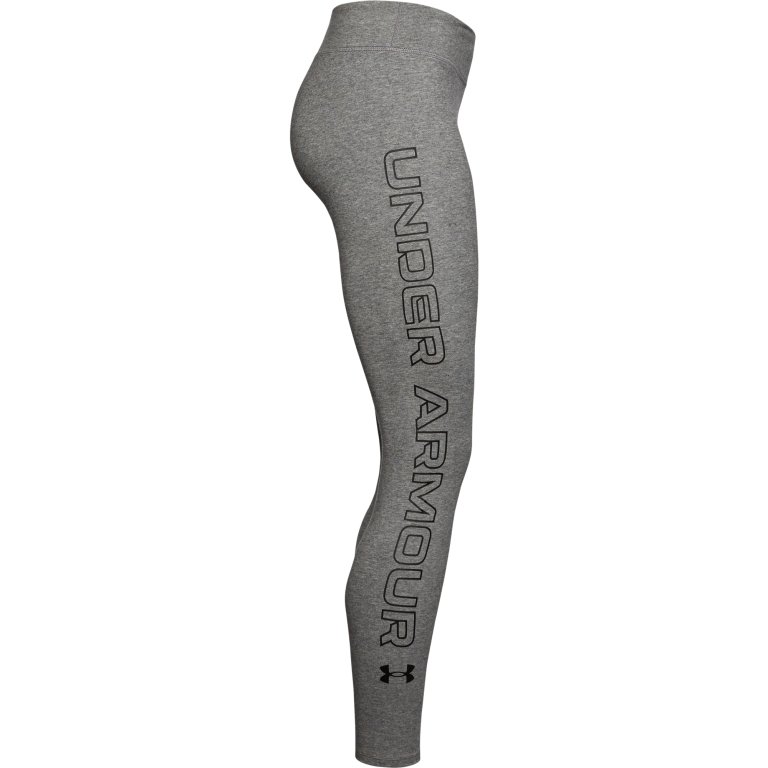 Легінси жіночі Under Armour Favorite WM Leggings W - сірі