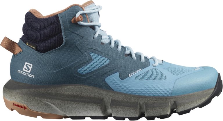 Взуття Salomon Predict Hike Mid GTX W - сині
