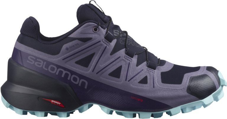 Взуття Salomon Speedcross 5 GTX W - фіолетовий/синій