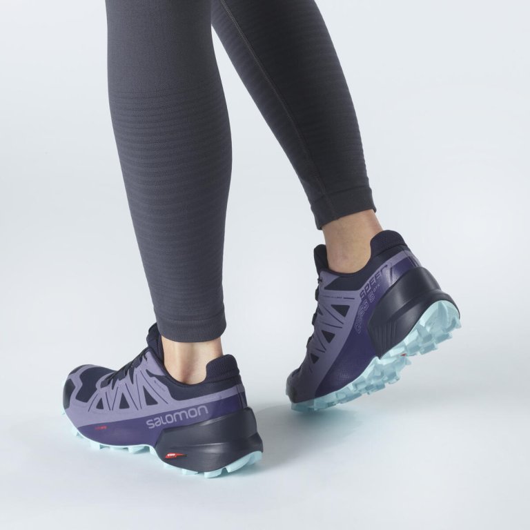 Взуття Salomon Speedcross 5 GTX W - фіолетовий/синій